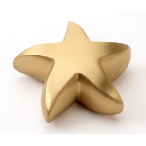 Star Keepsake Brass (UU430001A) Token Ashes 